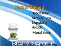 Herbal Capsules