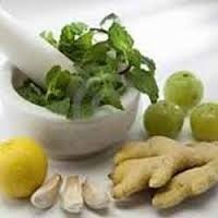 Ayurvedic Antidiabetic Medicine