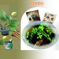 Natural Herbs