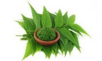 Neem Powder