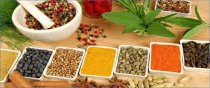 Ayurvedic Antidiabetic Medicine