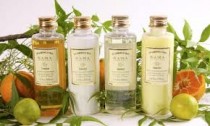 Ayurveda Products