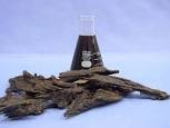 Agarwood Oil