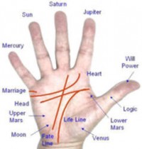 Palmistry