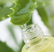 Aloe vera oil