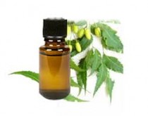 Neem Hair Oil