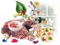 Ayurvedic Medicines