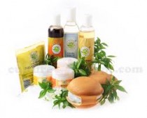 Herbal Cosmetics