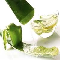 Aloe Vera Gel