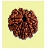 Rudraksha Mala (108 Beads)