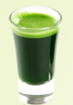 Wheat Grass Juice