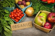 Fresh Organic Fruits