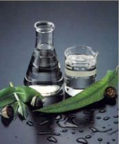 Eucalyptus Oil