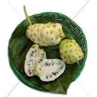 Noni Tablets