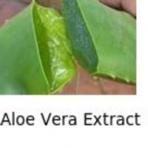 Aloe Vera Extract