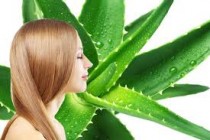 Aloe Vera Shampoo