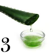 Aloe Vera Shampoo