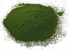 WheatGrass Powder