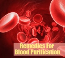 Ayurvedic blood purifier