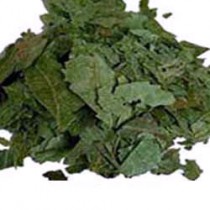 Neem leaves