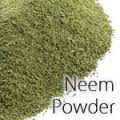 Neem powder