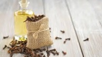 Clove Oil