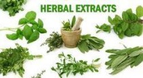 Herbal Extracts