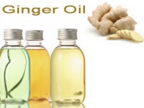 Ginger oil