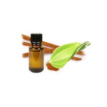 Cinnamon Oil