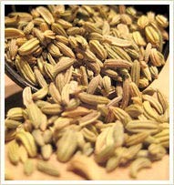 Fennel Oil