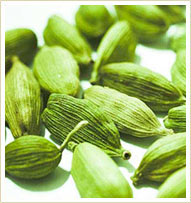 Cardamom Oil