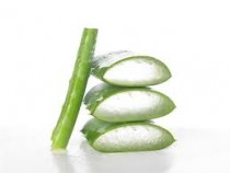 Aloe Vera Products