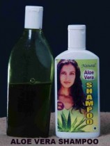 Aloe Vera Shampoo