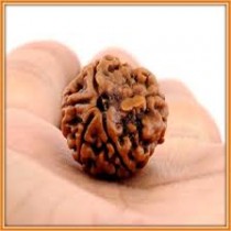 Rudraksha Products