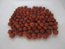 Rudraksha Beads