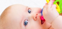 Baby Teething Products