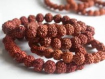 Rudraksha Beads