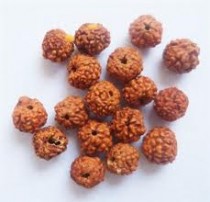 Rudraksha Beads