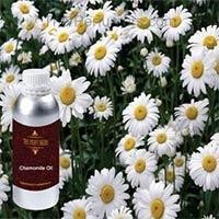 Chamomile Oil