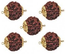 Rudraksha Beads