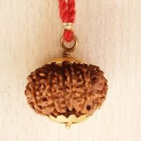 Rudraksha Beads