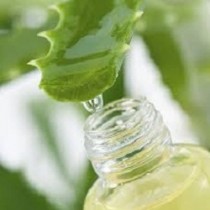 Aloe Vera Oil