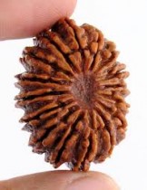 Rudraksha Beads