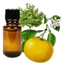 Grapefruit Oil