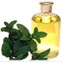 Menthol oil