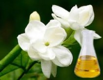 Jasmine Oil