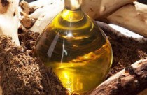 Sandalwood Oil