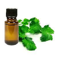 Coriander Oil