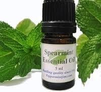 Spearmint Oil