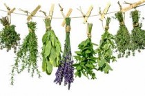 Natural Herbs